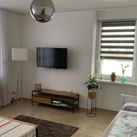 Grenznahe Ferienwohnung Mit 4 Schlafzimmern Grenzach-Wyhlen Eksteriør billede