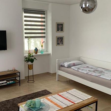 Grenznahe Ferienwohnung Mit 4 Schlafzimmern Grenzach-Wyhlen Eksteriør billede