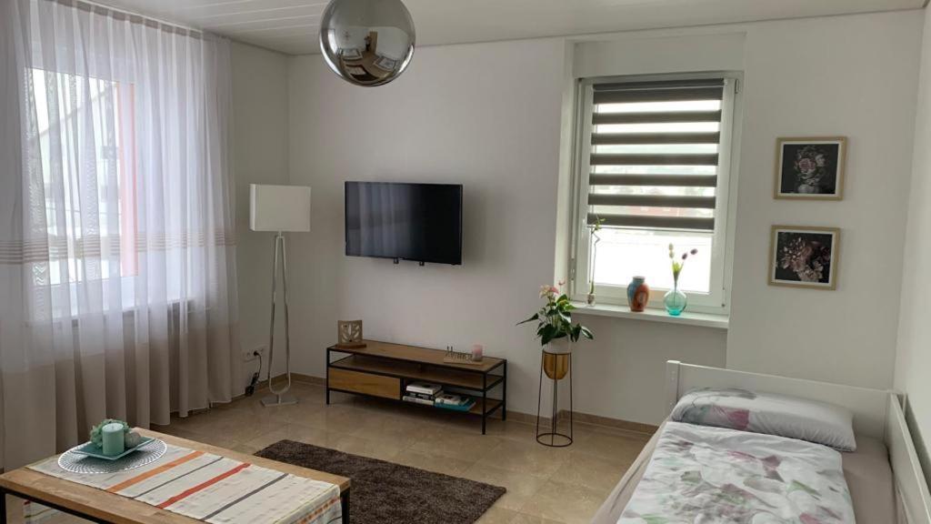 Grenznahe Ferienwohnung Mit 4 Schlafzimmern Grenzach-Wyhlen Eksteriør billede