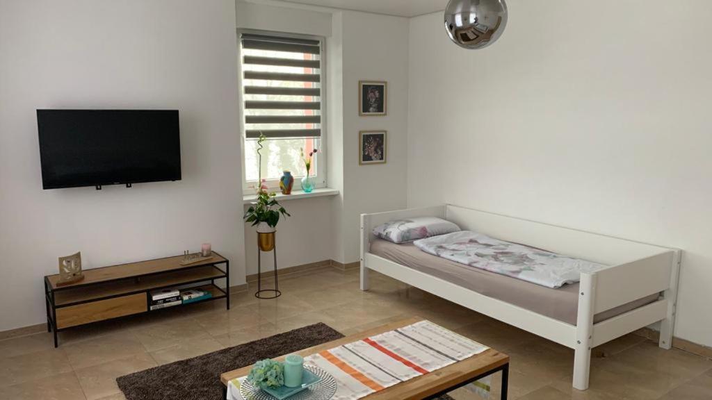 Grenznahe Ferienwohnung Mit 4 Schlafzimmern Grenzach-Wyhlen Eksteriør billede
